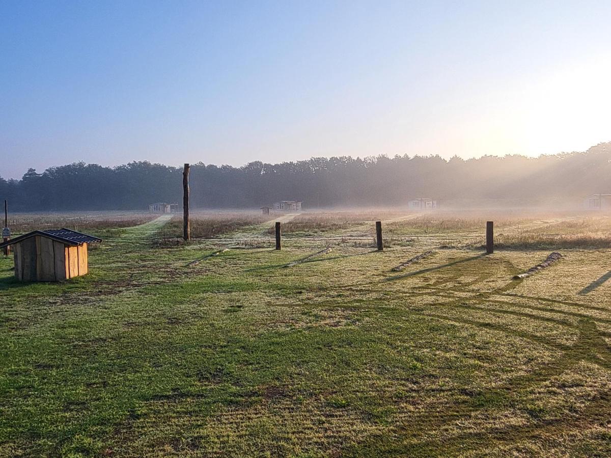 Вілла Hoeve Twente - De Bonte Specht Гейтхаузен Екстер'єр фото