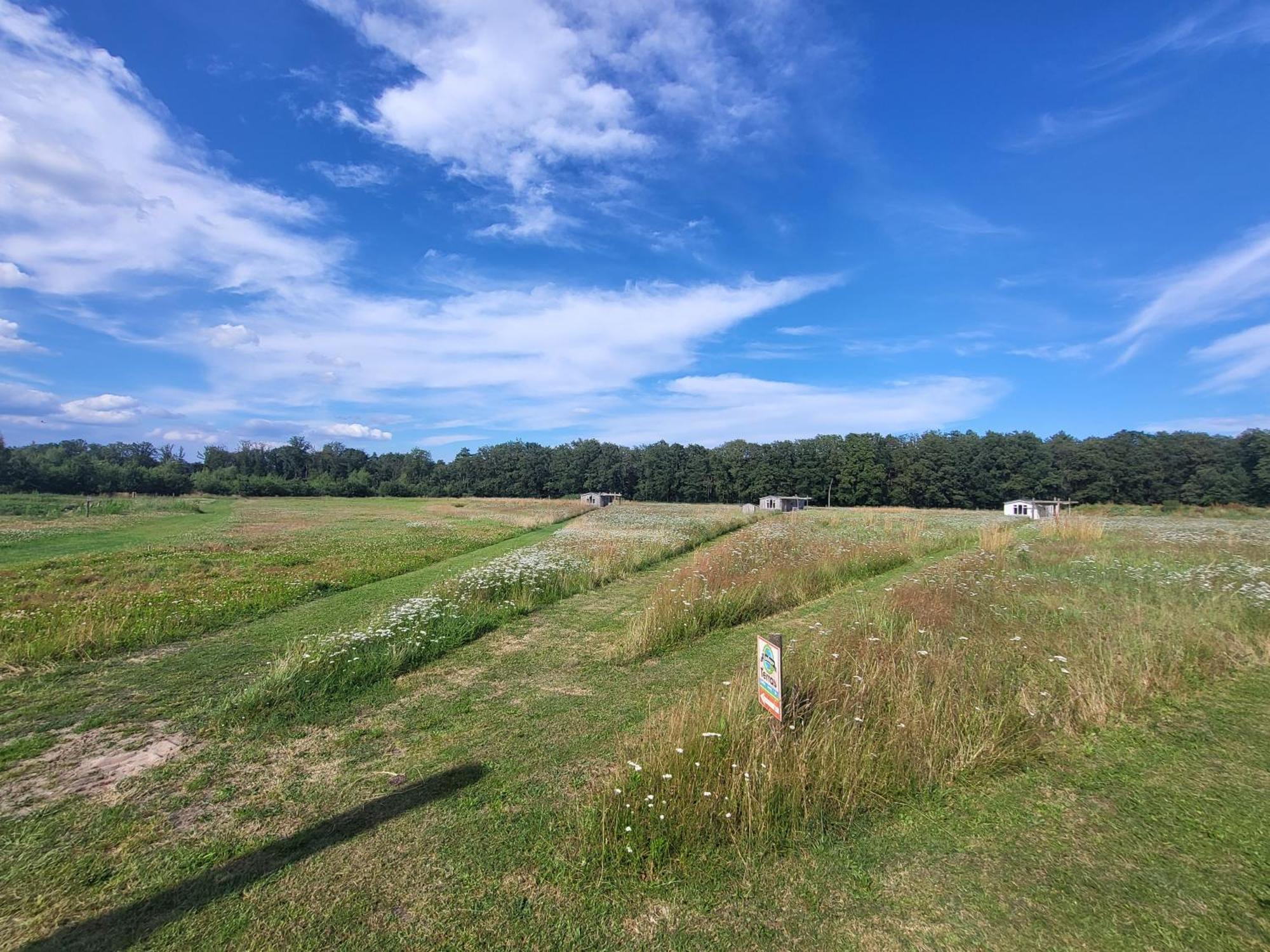 Вілла Hoeve Twente - De Bonte Specht Гейтхаузен Екстер'єр фото